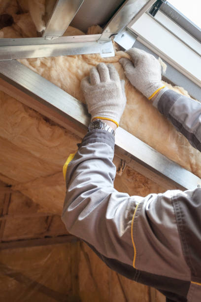 Types of Insulation We Offer in Taylor, TX